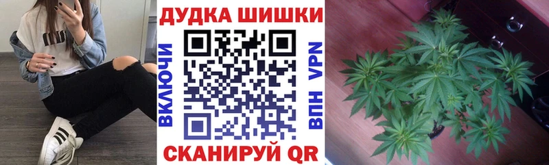 kraken ONION  Билибино  Канабис Amnesia 
